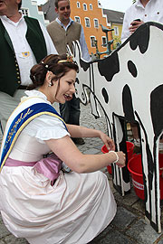 Melkversuch (Foto. MartiN Schmitz)